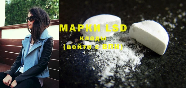 дживик Магас
