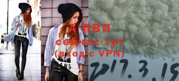 дживик Магас