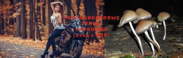 apvp Майский