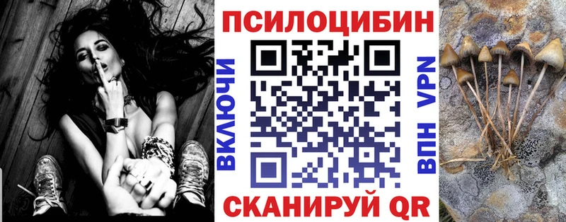 Псилоцибиновые грибы MAGIC MUSHROOMS Мурино