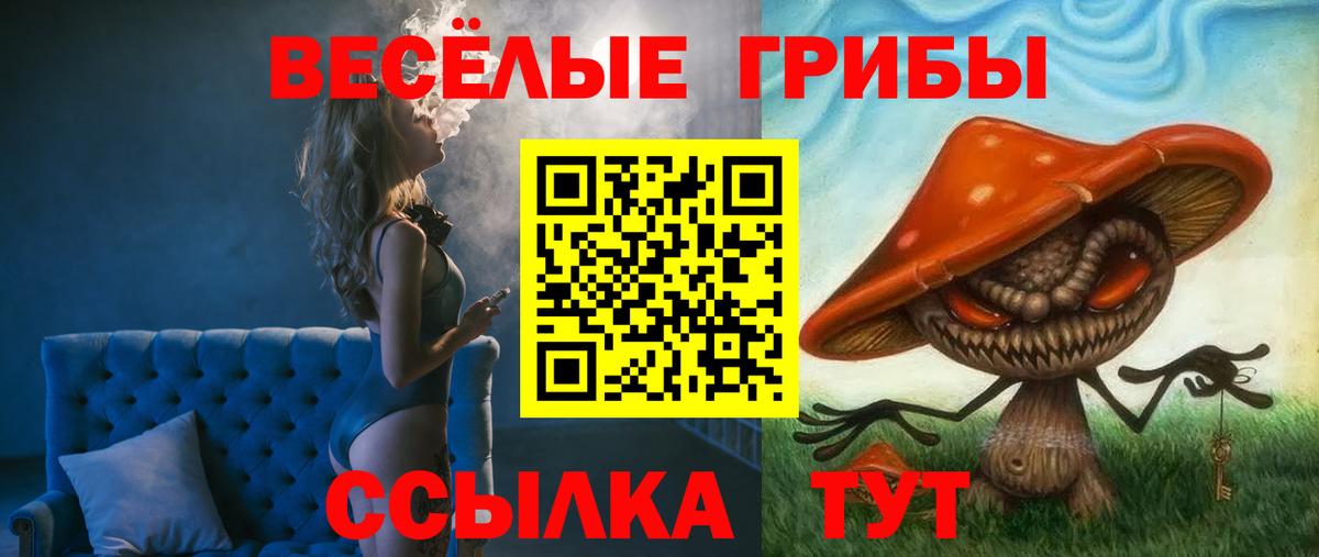 Псилоцибиновые грибы прущие грибы  Псилоцибиновые грибы мицелий  где продают   Вход с VPN  Мурино 